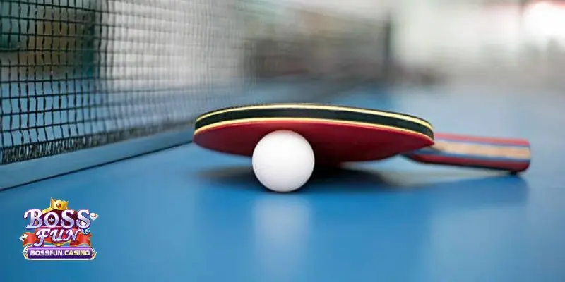 Cá Cược Bóng Bàn Và Những Điều Người Chơi Cần Phải Biết 1 ca cuoc bong ban