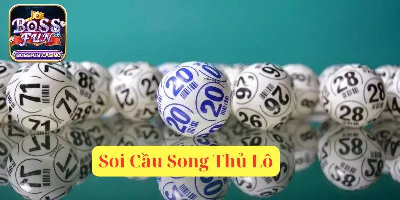 soi cau song thu lo